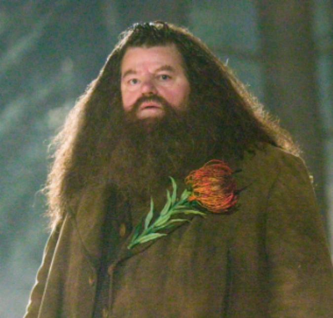 Hagrid em <i>Harry Potter</i>, Robbie Coltrane, morre aos 72 anos de idade
