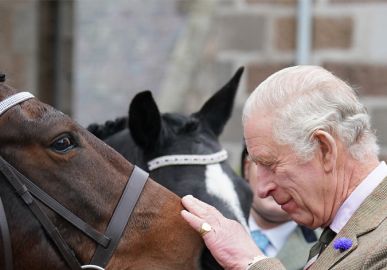 Rei Charles III deve vender mais de dez cavalos de corrida da mãe em leilão, afirma jornal