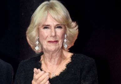 Rainha Consorte Camilla viaja para Índia para fazer terapia holística; instituto médico é focado em <i>cura, prevenção ou rejuvenescimento</i>