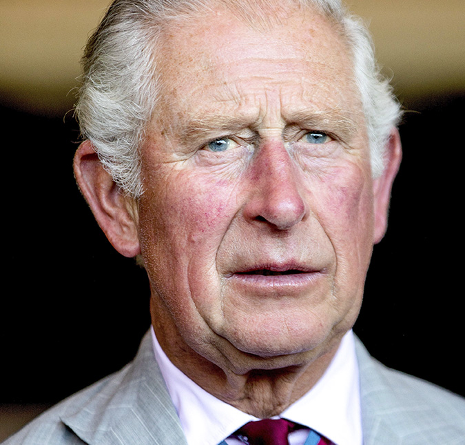 Rei Charles III vende 14 cavalos da Rainha Elizabeth II e recebe seis milhões de reais