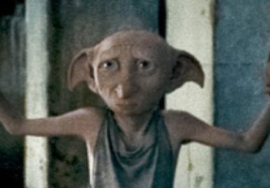 Autoridades pedem para que fãs de <i>Harry Potter</i> não coloquem meias no túmulo de Dobby