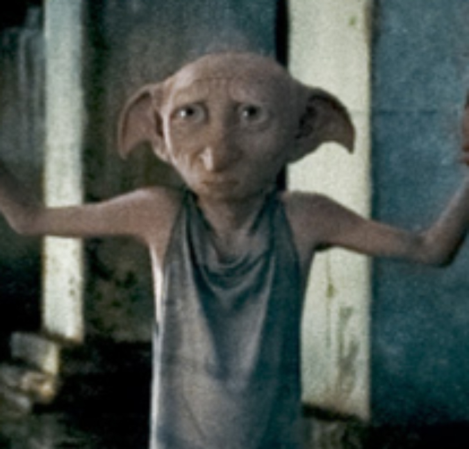 Autoridades pedem para que fãs de <i>Harry Potter</i> não coloquem meias no túmulo de Dobby