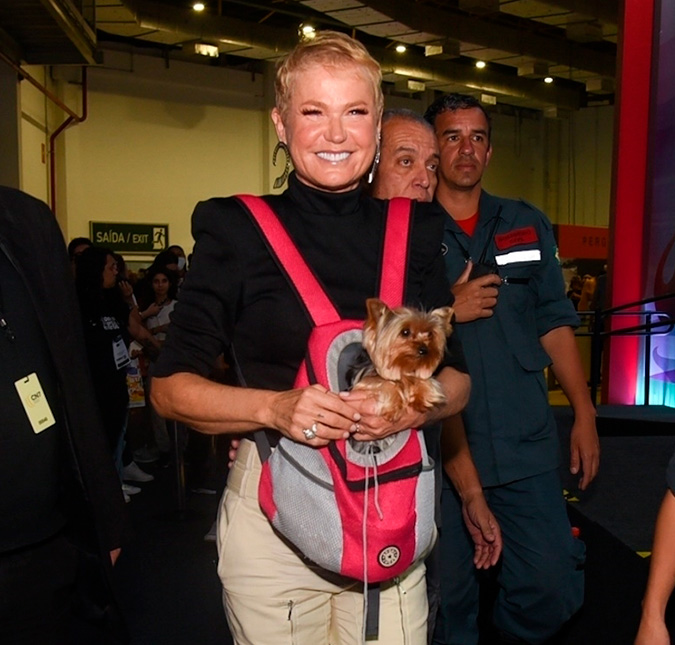 Xuxa Meneghel teria interrompido gravações de filme após testar positivo para Covid-19, diz colunista