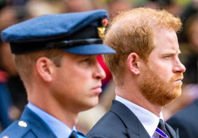 Durante briga por Meghan Markle, Príncipe Harry afirma que William o jogou no chão e caiu sobre pote de ração para cachorros