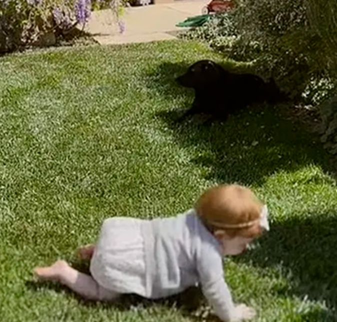 Já aqui, Lilibet estava engatinhando no jardim, tomando uma boa Vitamina D e dá para ver que a pequena puxou os cabelos ruivos do pai. Vale lembrar que o casal atualmente mora em Montecito, na Califórnia, nos Estados Unidos.