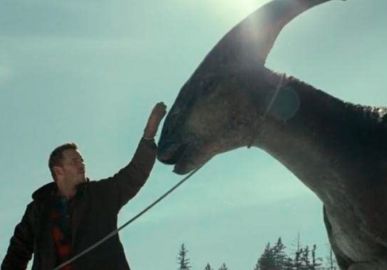 Anota aí! <i>Jurassic World: Domínio, Minions 2, Não! Não Olhe!</i> e outros filmes vão entrar no catálogo da <i>Telecine</i> em 2023