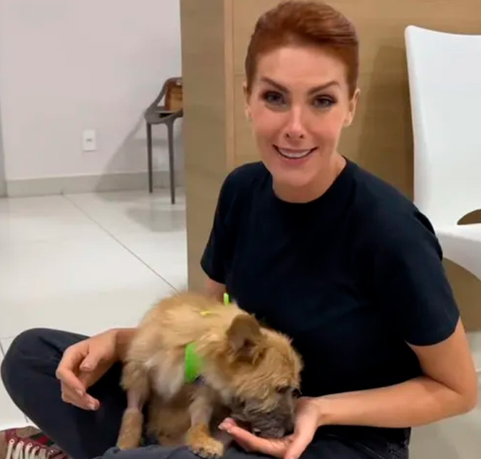 Ana Hickmann decide adotar cachorrinho que resgatou na estrada e dá nome para o animal: <I>-Ele escolheu ficar na nossa família</i>