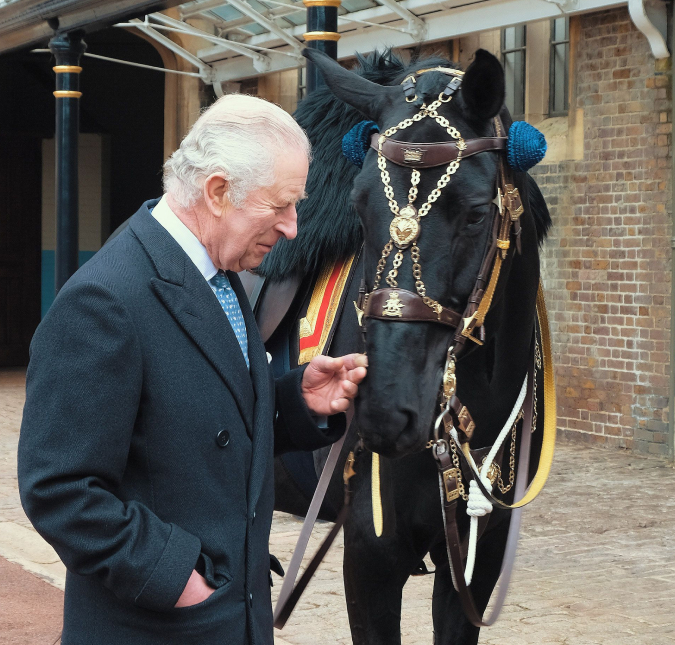 Rei Charles III ganha cavalo para comemorar coroação