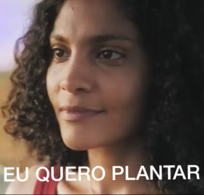 Veja um resumo - em <i>memes</i> - da primeira semana de <i>Terra e Paixão</i>!