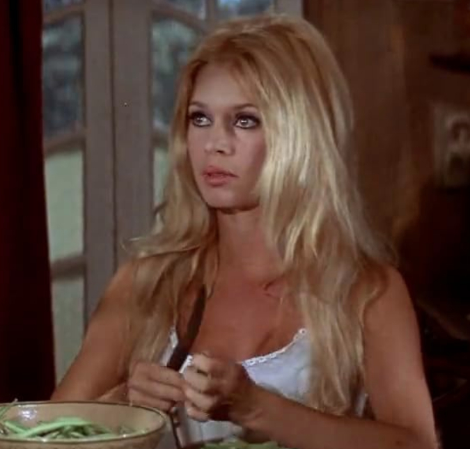 Brigitte Bardot evita esforço físico após passar mal e usar cilindro de oxigênio, diz jornal