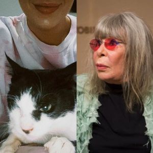 Shakira, Rita Lee, Camila Queiroz... Confira as celebridades que foram inspirações para nomes de <i>pets</i> dos famosos
