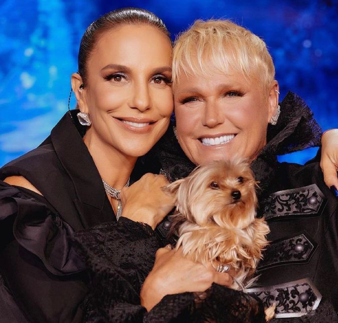 Encontro de rainhas! Ivete Sangalo está confirmada para o Carna Xuxa de 2024 As cabines para curtir o navio temático de Xuxa Meneghel já estão sendo vendidos
