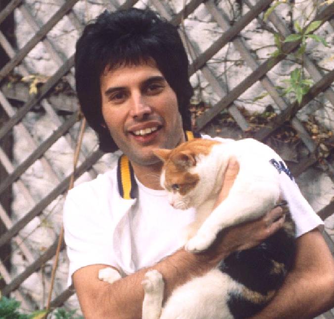 Fãs de Freddie Mercury emocionam ao divulgar fotos rarissímas do cantor pouco tempo antes de morrer