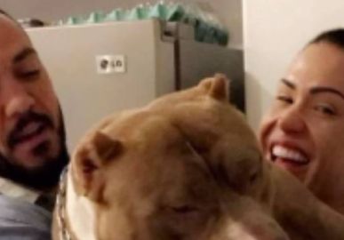 Tristeza! Gracyanne Barbosa desabafa após morte de seu cachorro: <i>Para nós, um filho</i>