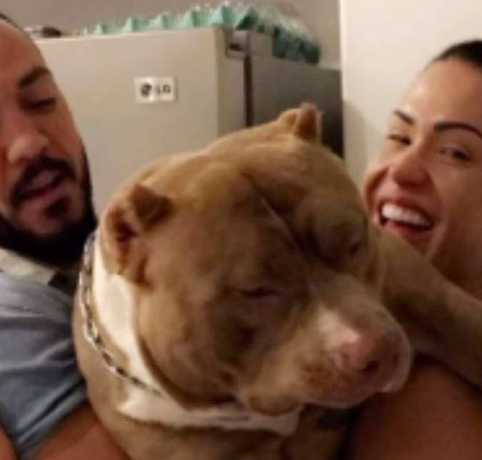 Tristeza! Gracyanne Barbosa desabafa após morte de seu cachorro: <i>Para nós, um filho</i>
