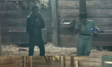 Durante última madrugada em <i>A Fazenda 15</i>, peões têm noite tranquila e recheada de brincadeiras