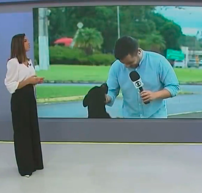 Repórter da <i>Rede Globo</i> passa por imprevisto após cachorro invadir entrada ao vivo: <i>- Quer me dar um abraço</i>