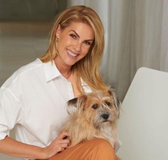 Ana Hickmann, Rafa Kalimann, Paolla Oliveira... Conheça os famosos que já adotaram <i>pets</i>