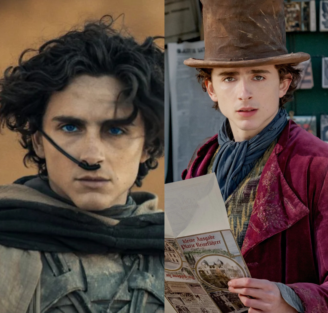 Após <I>Duna</I> e <I>Wonka</i>, Timothée Chalamet assina contrato maior com <I>Warner Bros</i> para trabalhar em projetos futuros como ator e produtor