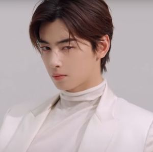 Ele está vindo! Saiba tudo sobre o Cha Eunwoo, integrante do grupo de <i>K-Pop ASTRO</i>