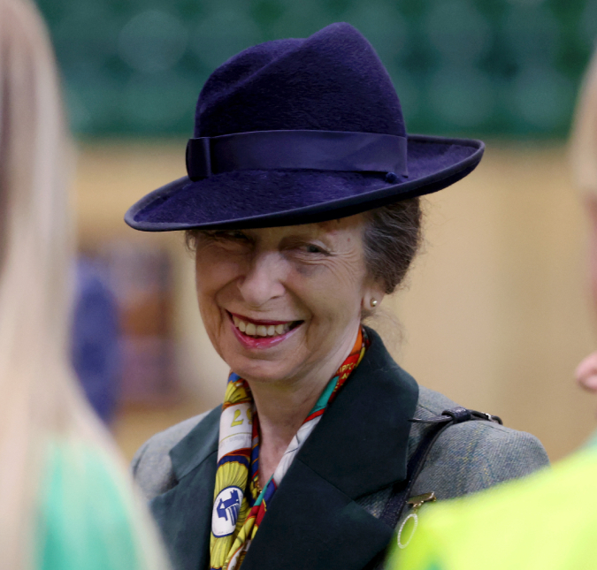 Princesa Anne afirma não lembrar de nada sobre incidente com cavalo, diz <i>site</i>