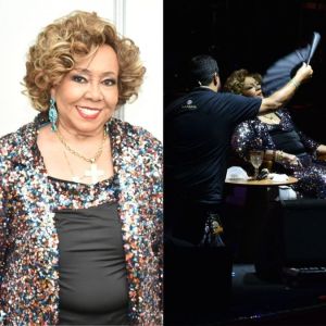 Alcione tranquiliza fãs após passar mal durante <i>show: - Inteira e pronta para a luta</i>
