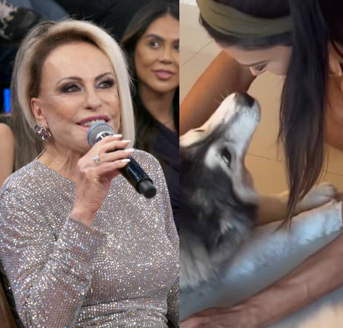 Ana Maria Braga faz apelo para encontrar cachorra de Gracyanne Barbosa