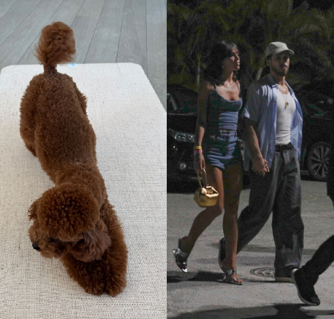 Bruna Marquezine posta foto com cachorro que adotou com João Guilherme antes do término