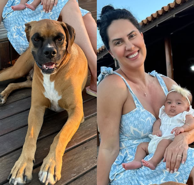 Graciele Lacerda revela que seu cachorro foi atingido por hélice de helicóptero: <i>Isso me assustou muito</i>