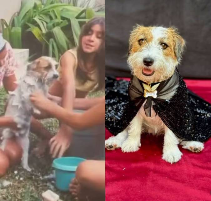 Cachorrinha que gravou <i>Ainda Estou Aqui</i> se prepara para o <i>Oscar</i> 2025