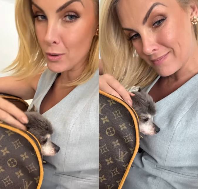 Ana Hickmann relata susto com internação de seu cachorro: <i>É um idosinho</i>