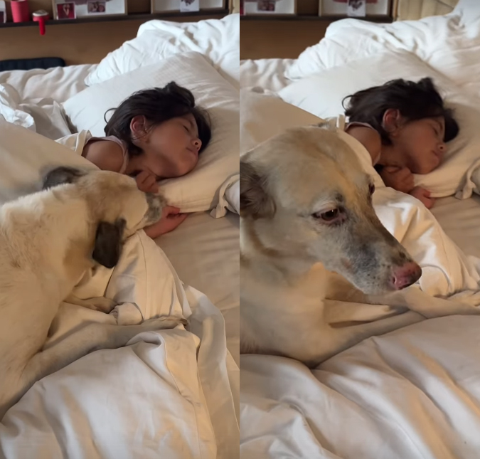 Lambeijos! Sabrina Sato mostra momento fofo de Zoe com o cachorro da família
