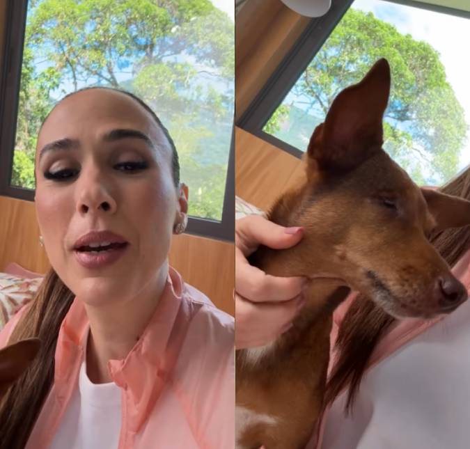 Cachorra de Tata Werneck é vetada de concurso e apresentadora fica indignada: <i>Não podia porque não tem raça</i>