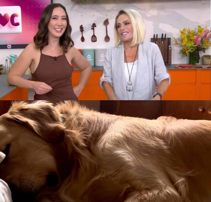 Alerta fofura! Ana Maria Braga se diverte com cachorrinho roncando: <i>Abriria um quarto só para ele</i>