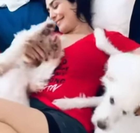 Letícia Sabatella decide entrar na Justiça para recuperar cães. Entenda a polêmica envolvendo a atriz e a adoção de seus cachorros