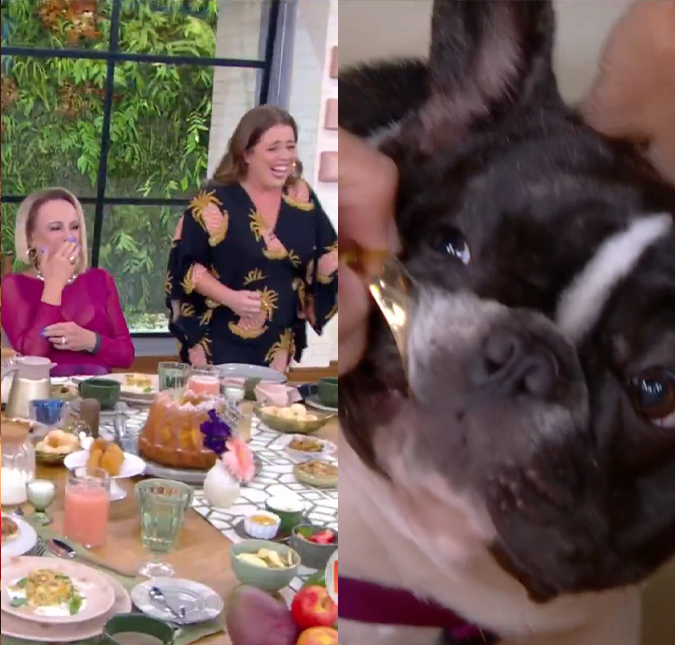 Cachorra de Ana Maria Braga foge com brinco de Tati Machado ao vivo e diverte a <i>web</i>