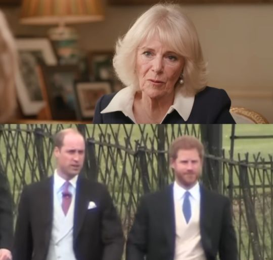 Descubra os apelidos nada carinhosos que Príncipe Harry e Príncipe William já deram à Rainha Camilla