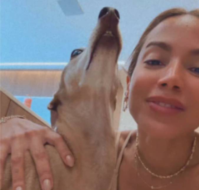 Após cachorro de Anitta se machucar, cantora compartilha reação inusitada de outro <i>pet</i>: - <i>Aprendeu a fingir que está doente</i>