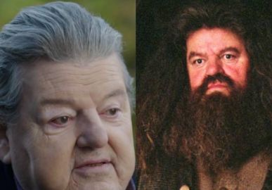 Veja como estão hoje em dia os atores da saga <i>Harry Potter</i>