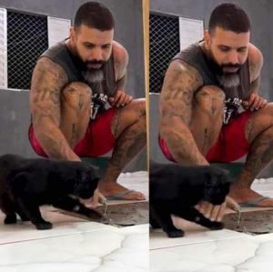 Pedreiro por um dia! Gatinho diverte ao tentar ajudar tutor em obra; assista!