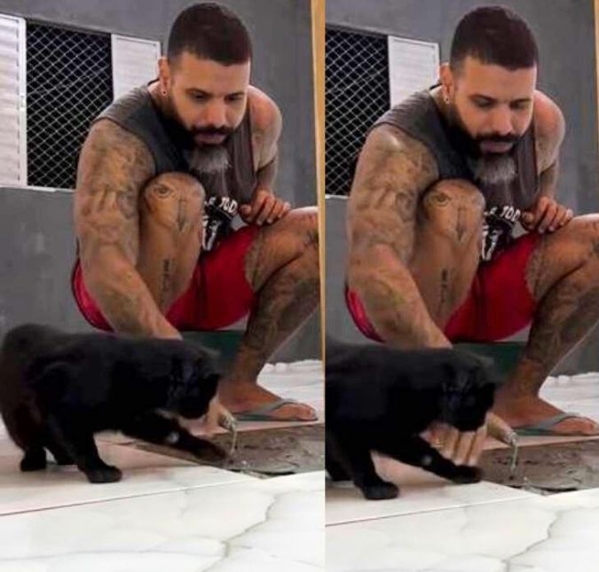 Pedreiro por um dia! Gatinho diverte ao tentar ajudar tutor em obra; assista!