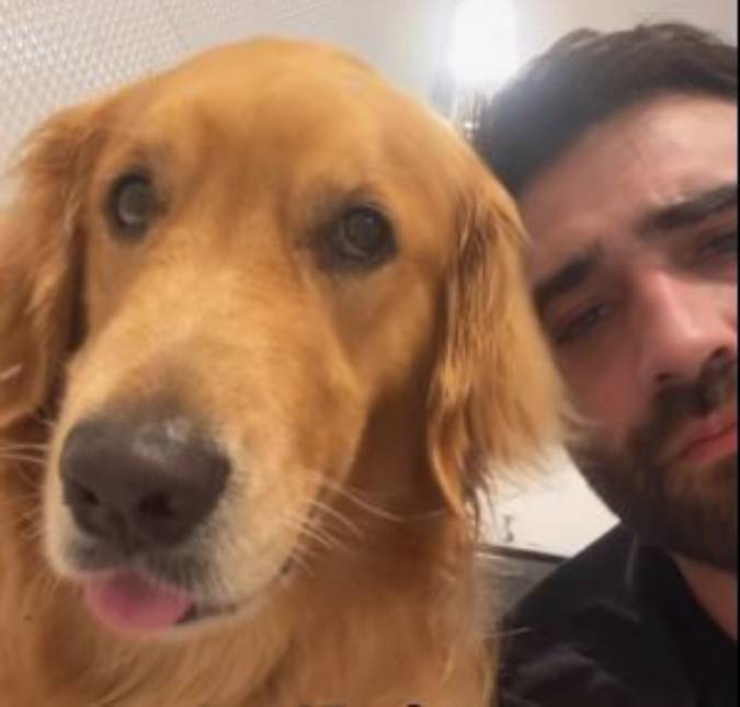 Tutora entrega que cachorrinha na infância fazia muita bagunça e reação de <i>pet</i> viraliza