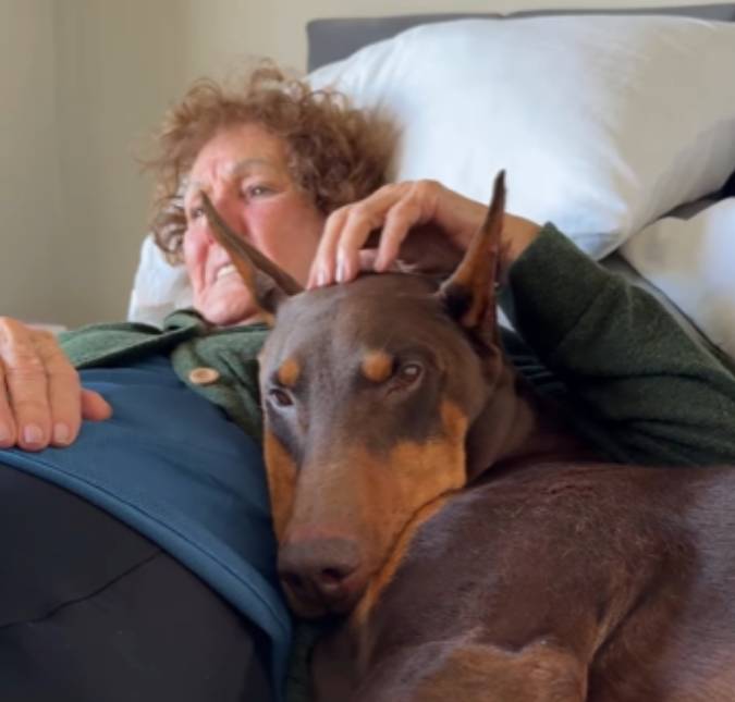 Neto favorito! Tutor encanta ao mostrar tratamento da avó com seu cachorro
