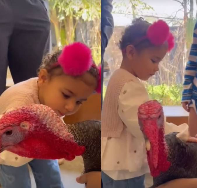 Bruna Biancardi mostra vídeo fofo de Mavie conhecendo animal inusitado e encanta <i>web</i>