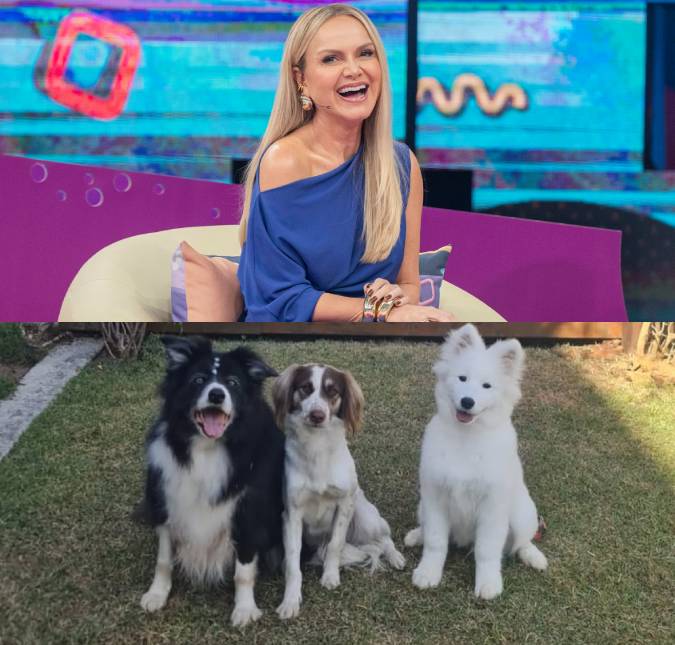 Eliana se derrete por cachorrinho caçula e brinca: <i>Gigante com apenas quatro meses</i>
