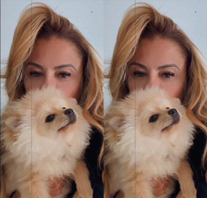 Após apelo na <i>web</i>, cachorro de Poliana Rocha é encontrado preso em quarto