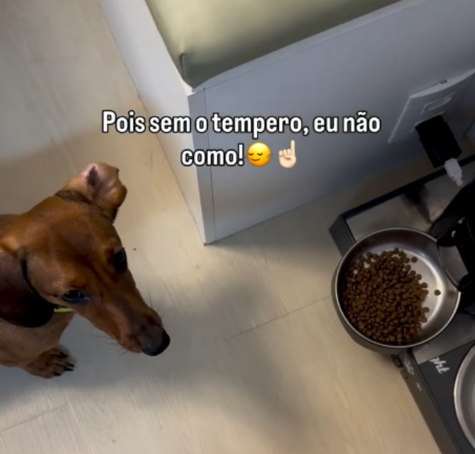 Cachorrinho diverte a <i>web</i> ao mostrar que só come com temperinho especial