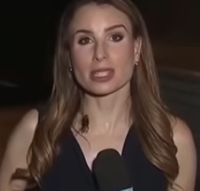 Repórter norte-americana viraliza ao manter profissionalismo ao vivo enquanto barata passeia por seu pescoço