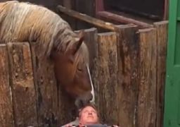 Serginho Hondjakoff recebe carinho inusitado de égua em <i>A Fazenda 18</i>! Relembre momentos divertidos (e fofos!) dos participantes com os animais